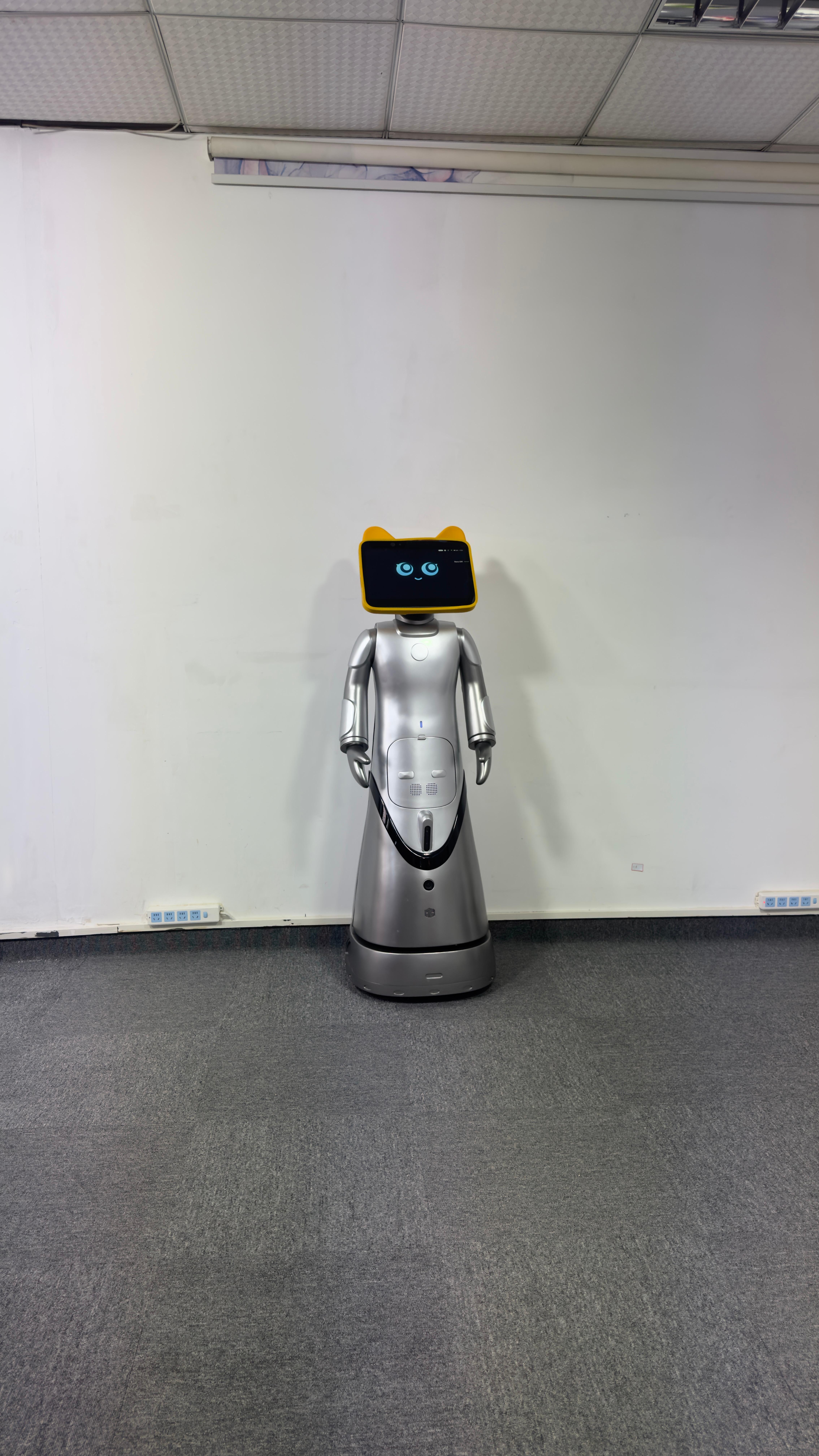 广东齐聚机器人产品展示1