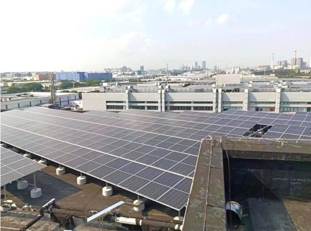 重庆市彩光科技有限公司