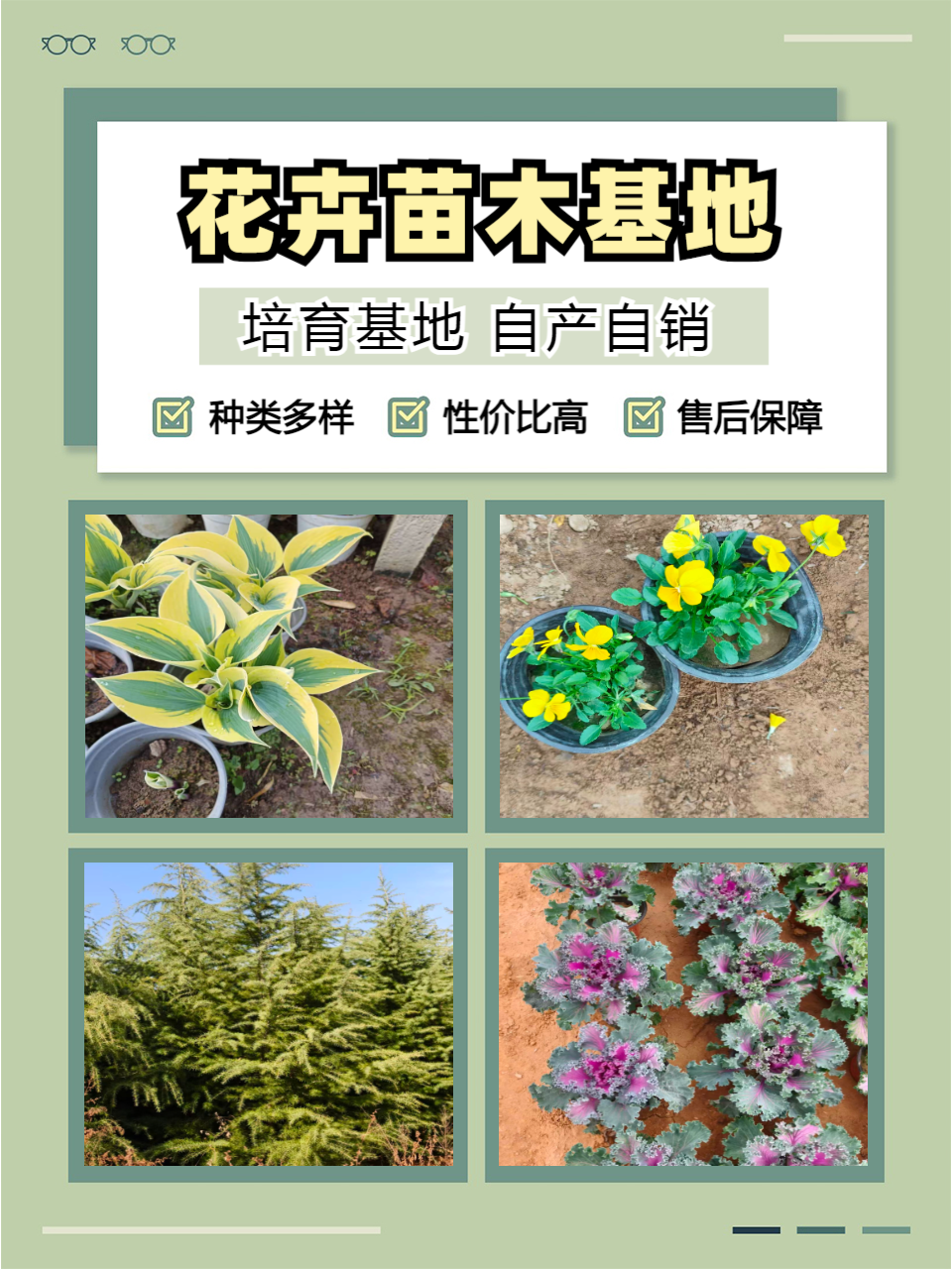 合作社产品实拍