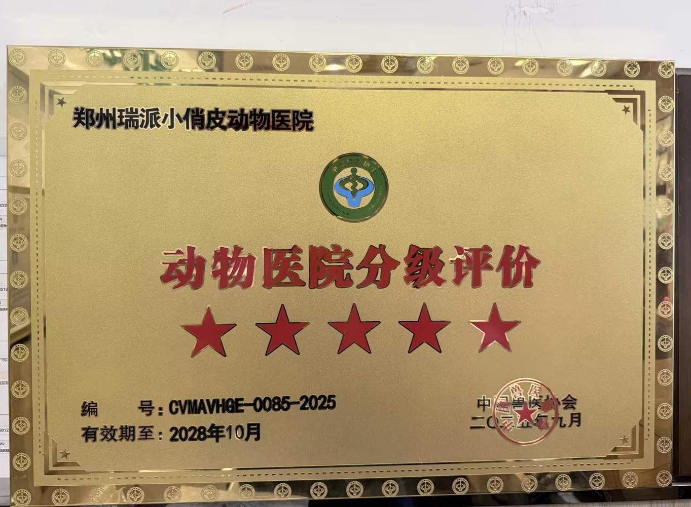 瑞派小俏皮宠物医院医疗团队
