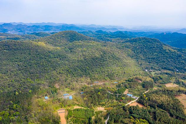 湖南恒欣农业散养土鸡基地