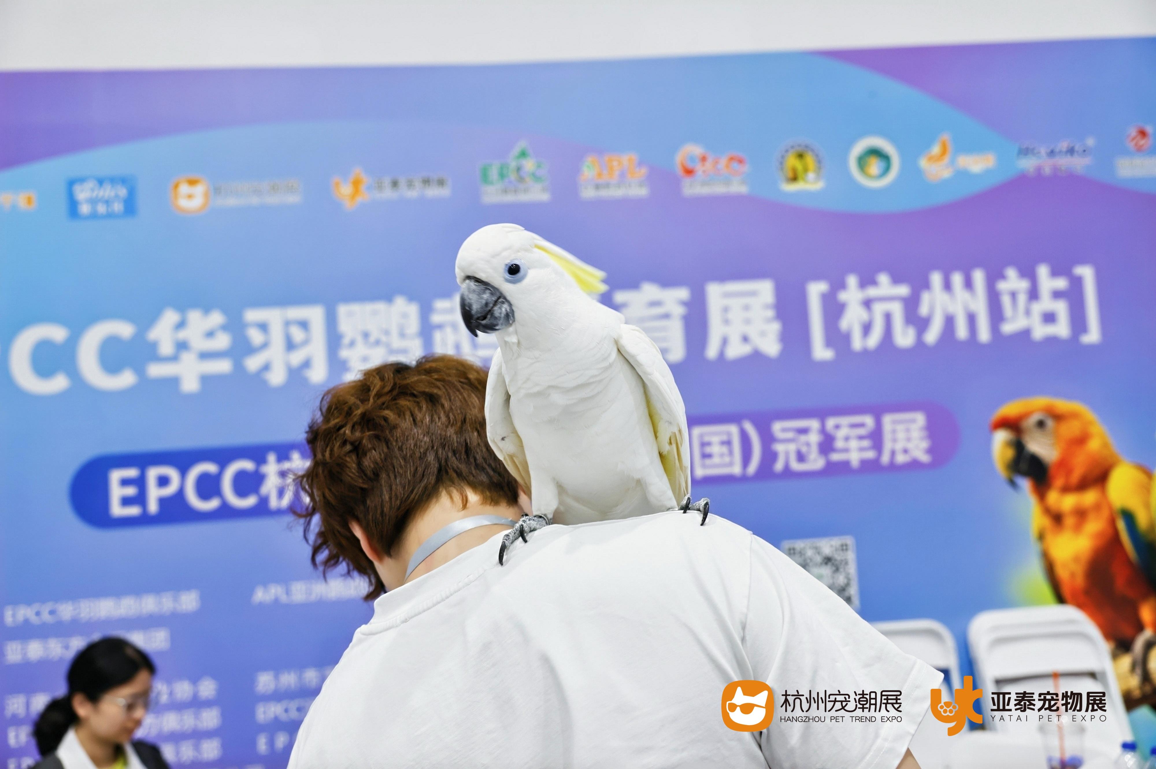 贵宠森活平台形象