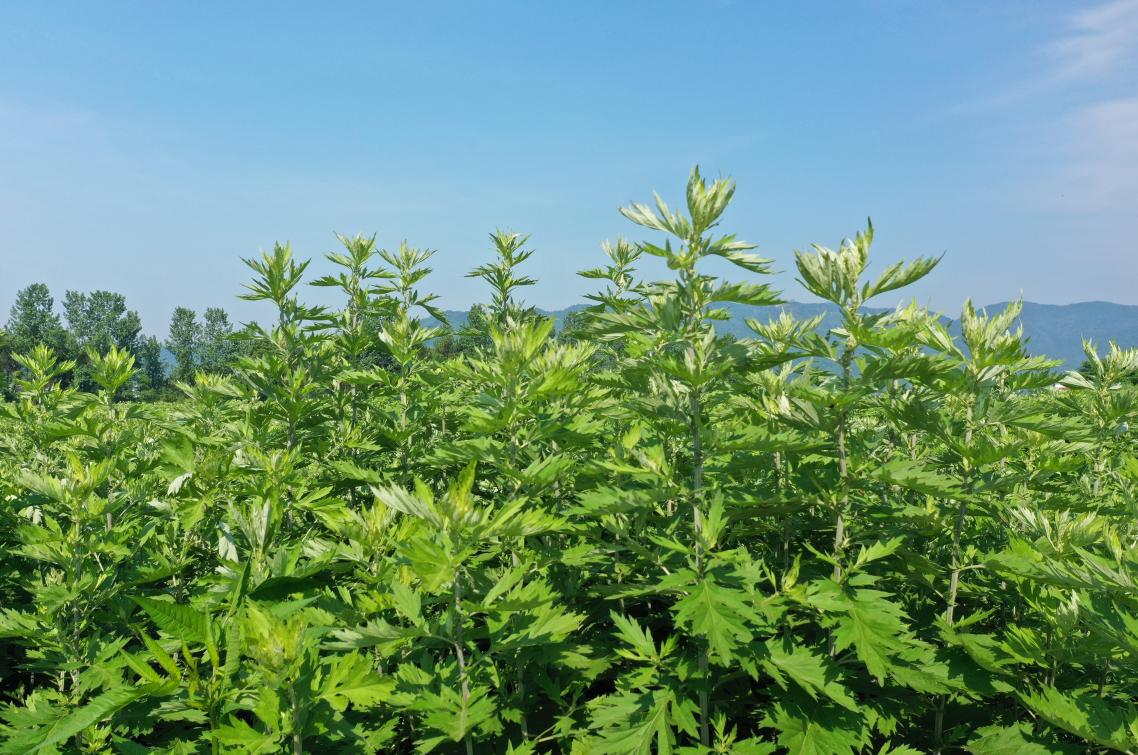 大明古艾商学院教学场景