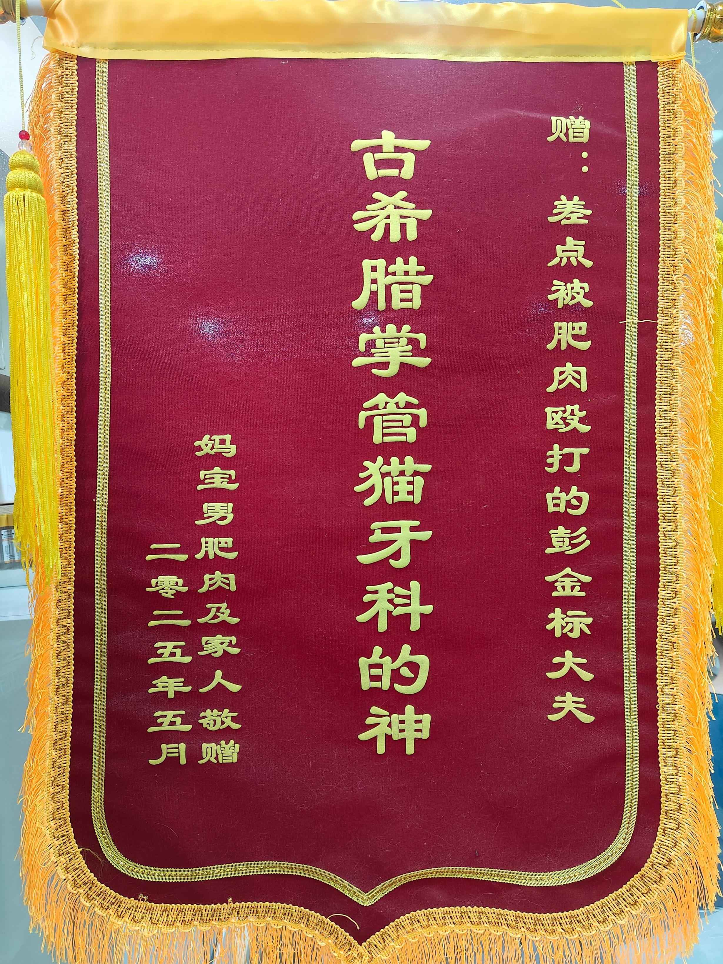 深圳宠物全科诊疗诊所