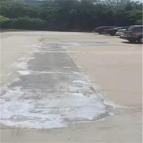 圣思恩公司产品