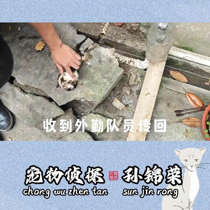 孙锦荣寻宠设备展示