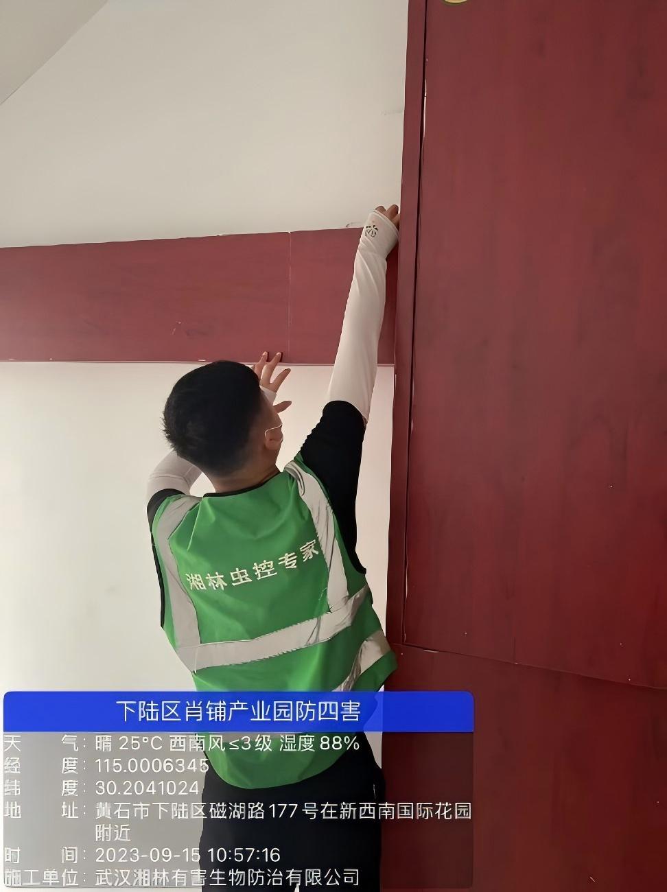 武汉湘林有害生物防治