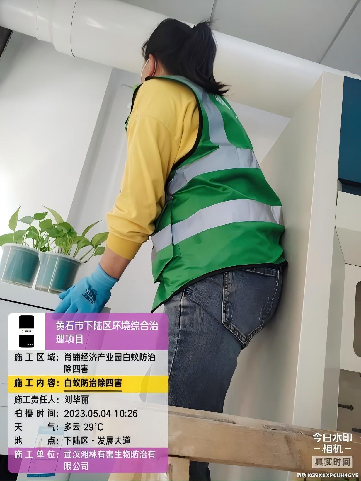 武汉湘林技术团队