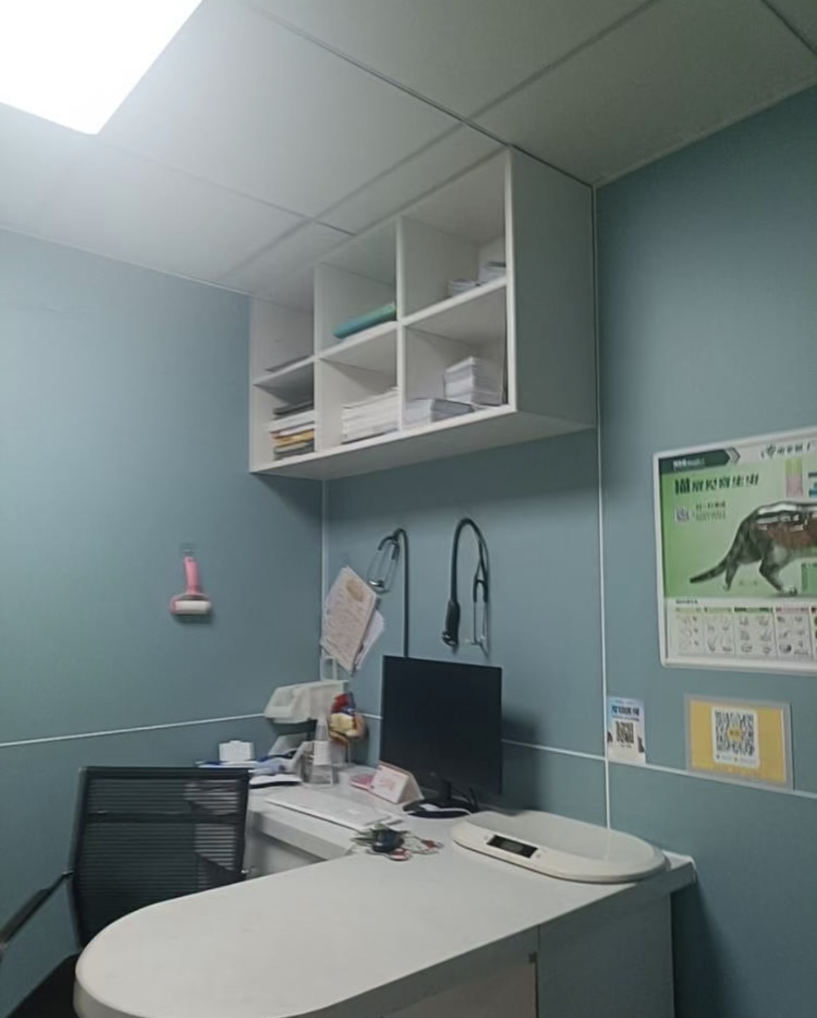 东莞宠物内科服务_瑞派联萌宠物医院