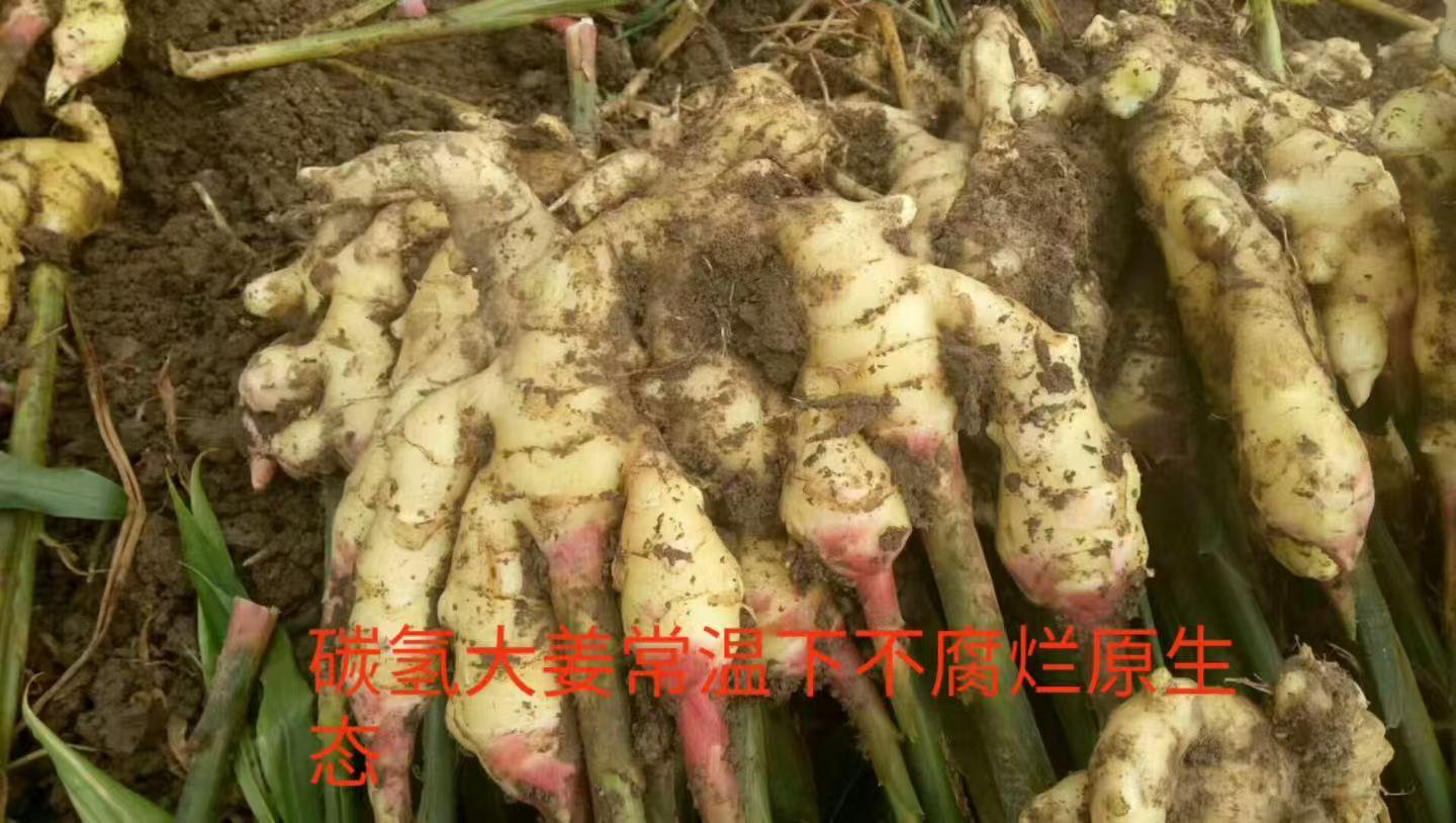 山东军神碳氢生物科技有限公司