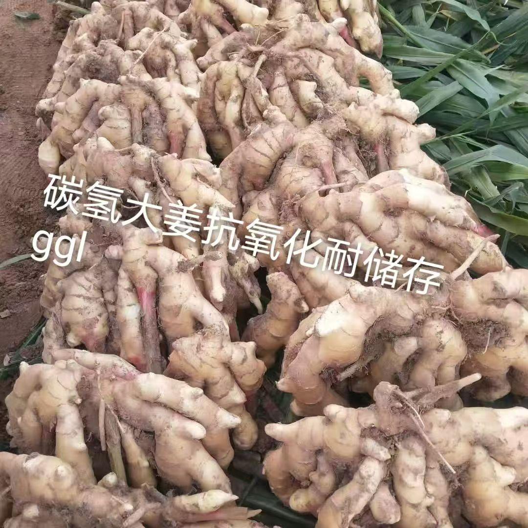 企业荣誉与**