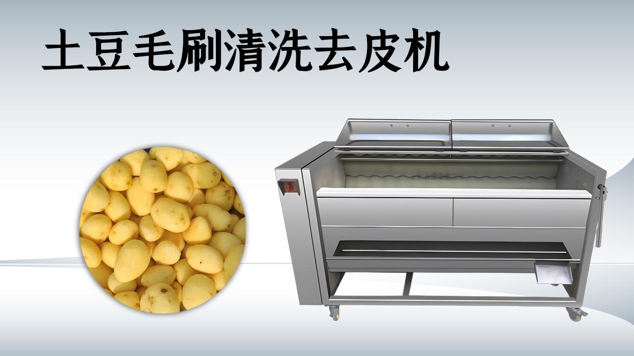 毛辊清洗去皮机设备细节图