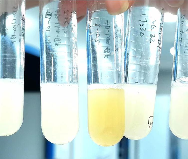 上海隆汇生物