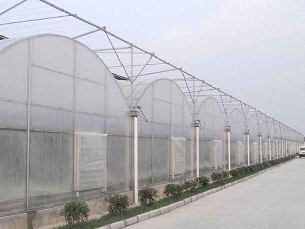 山东大楚温室工程有限公司