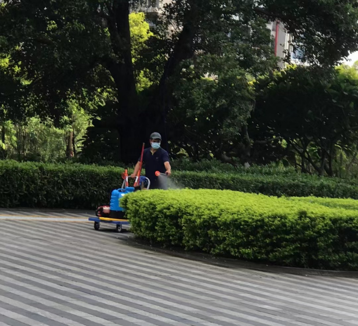 室内植物出租案例
