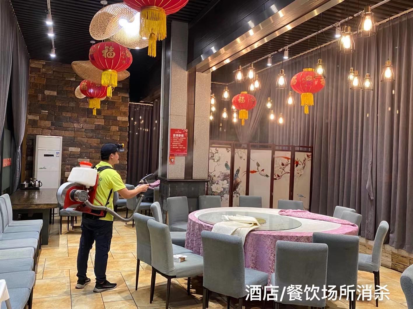 白蚁防治现场