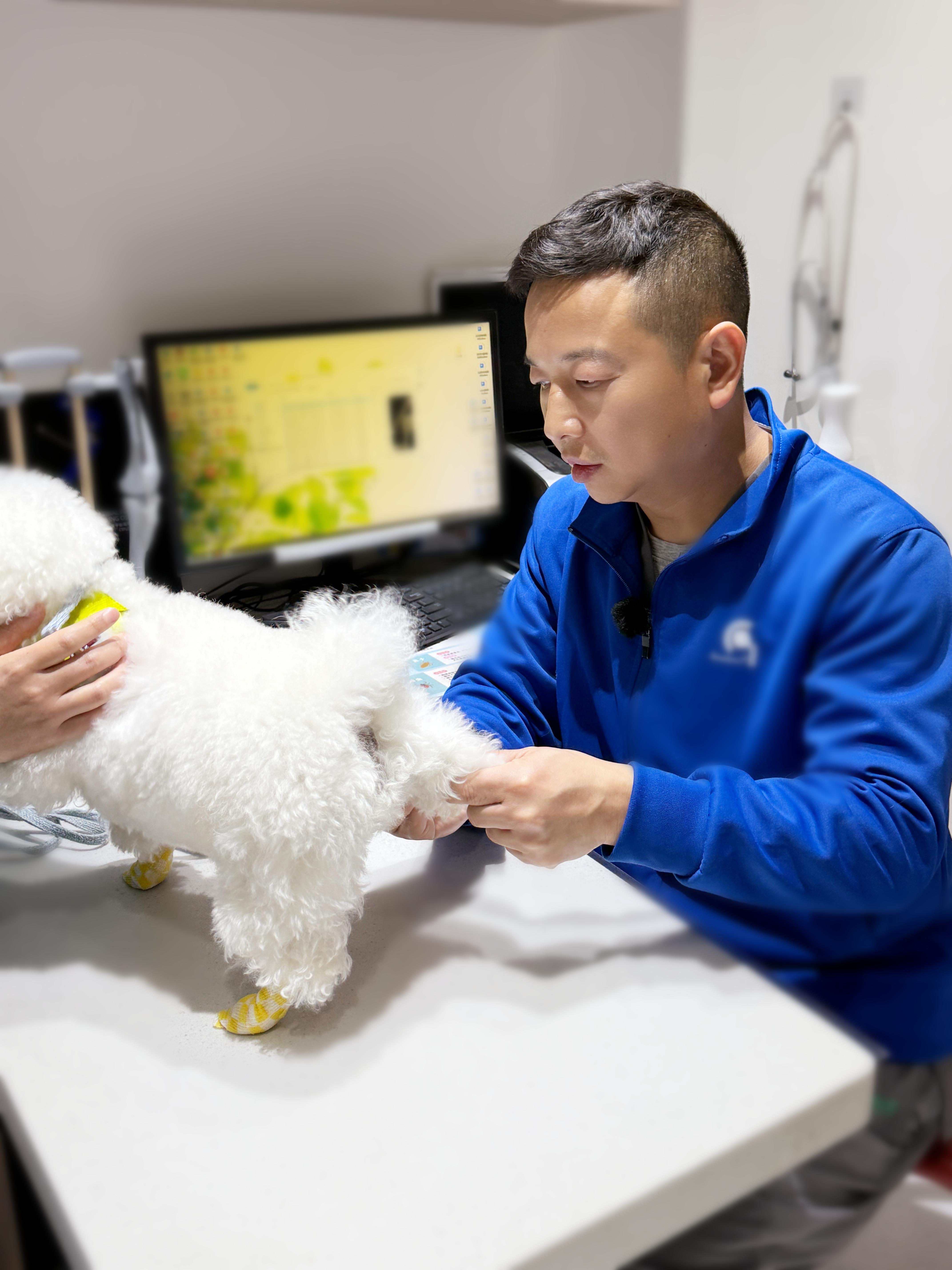 瑞派伟伟融科宠物医院