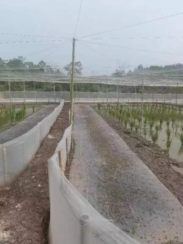 织布机生产线