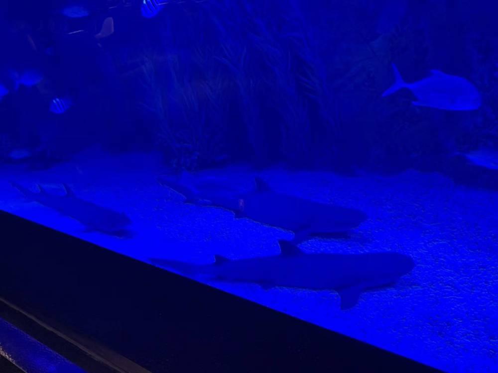 西安秦海水景工程有限公司-产品