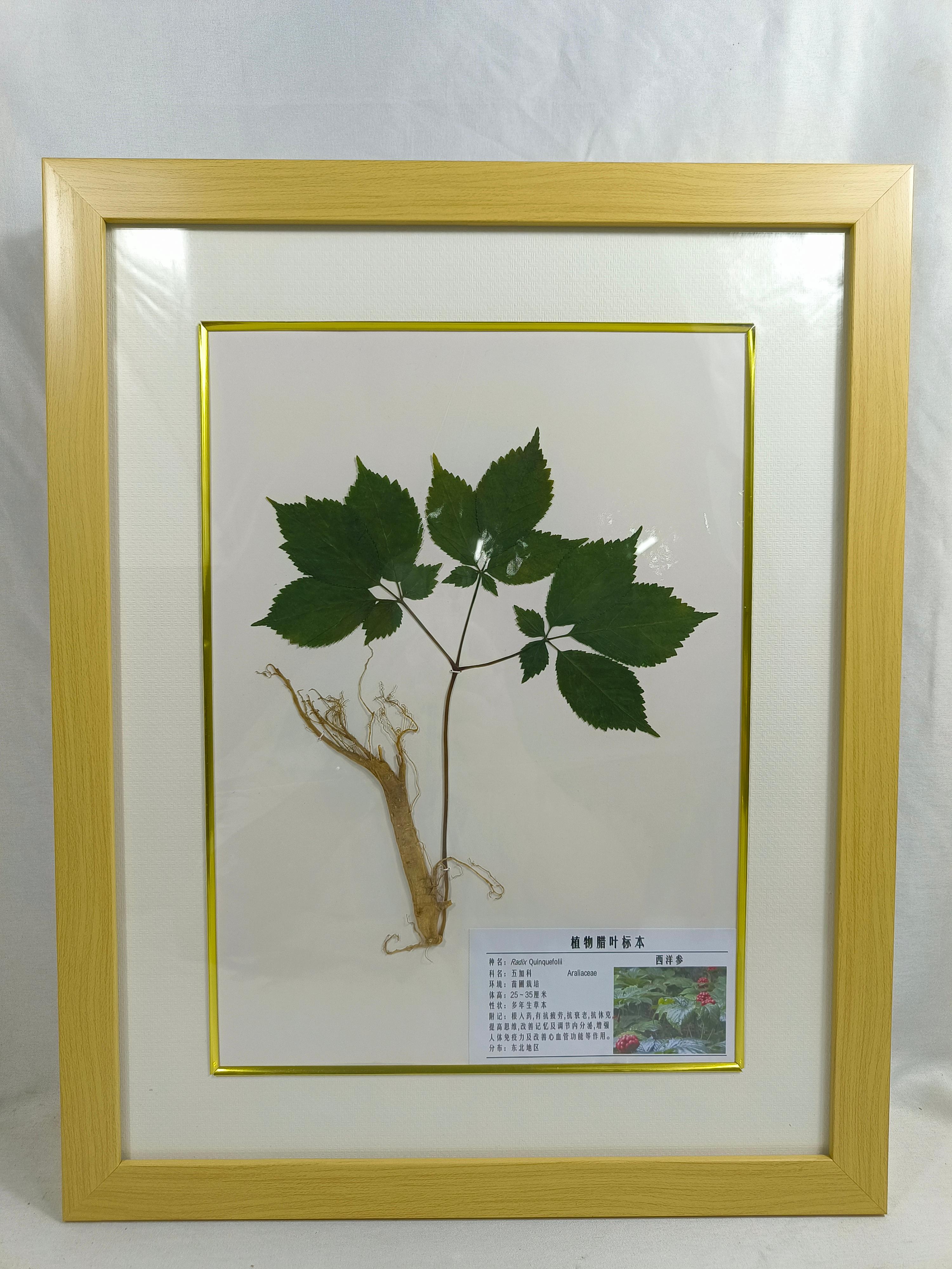 新乡禾力教学设备