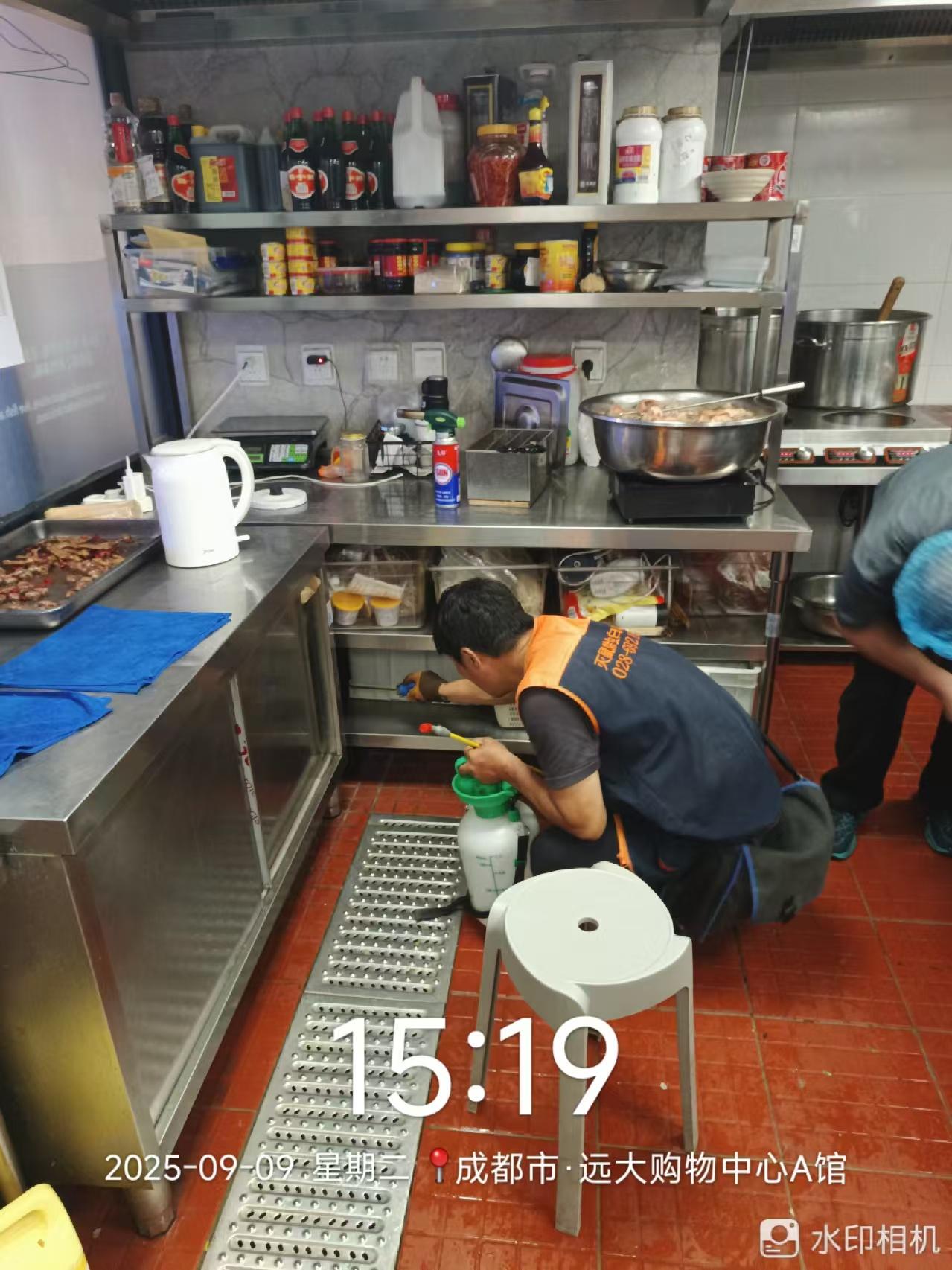 绿净爱卫团队服务现场