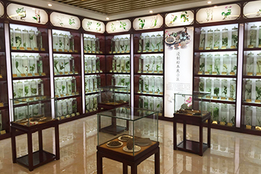 展馆空间设计案例