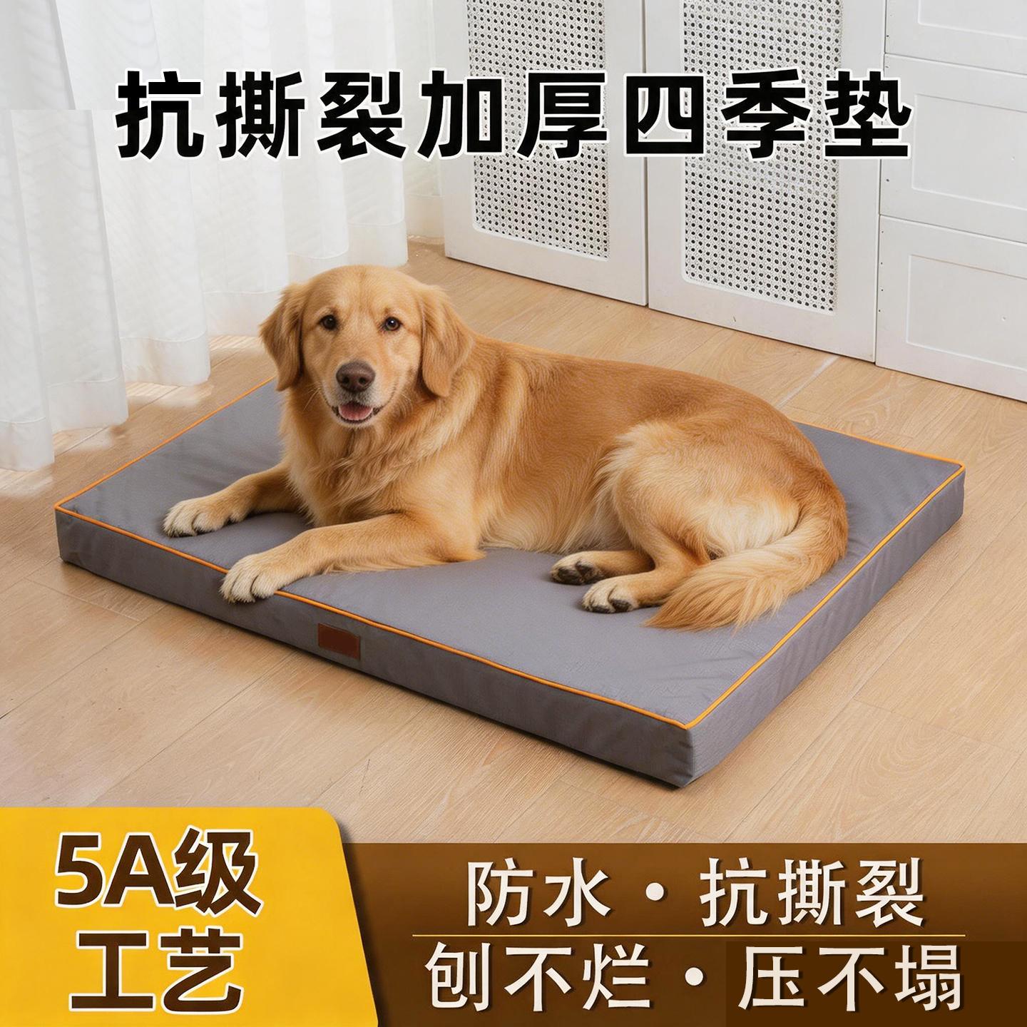 山东佩迪熊宠物用品有限公司工厂展示