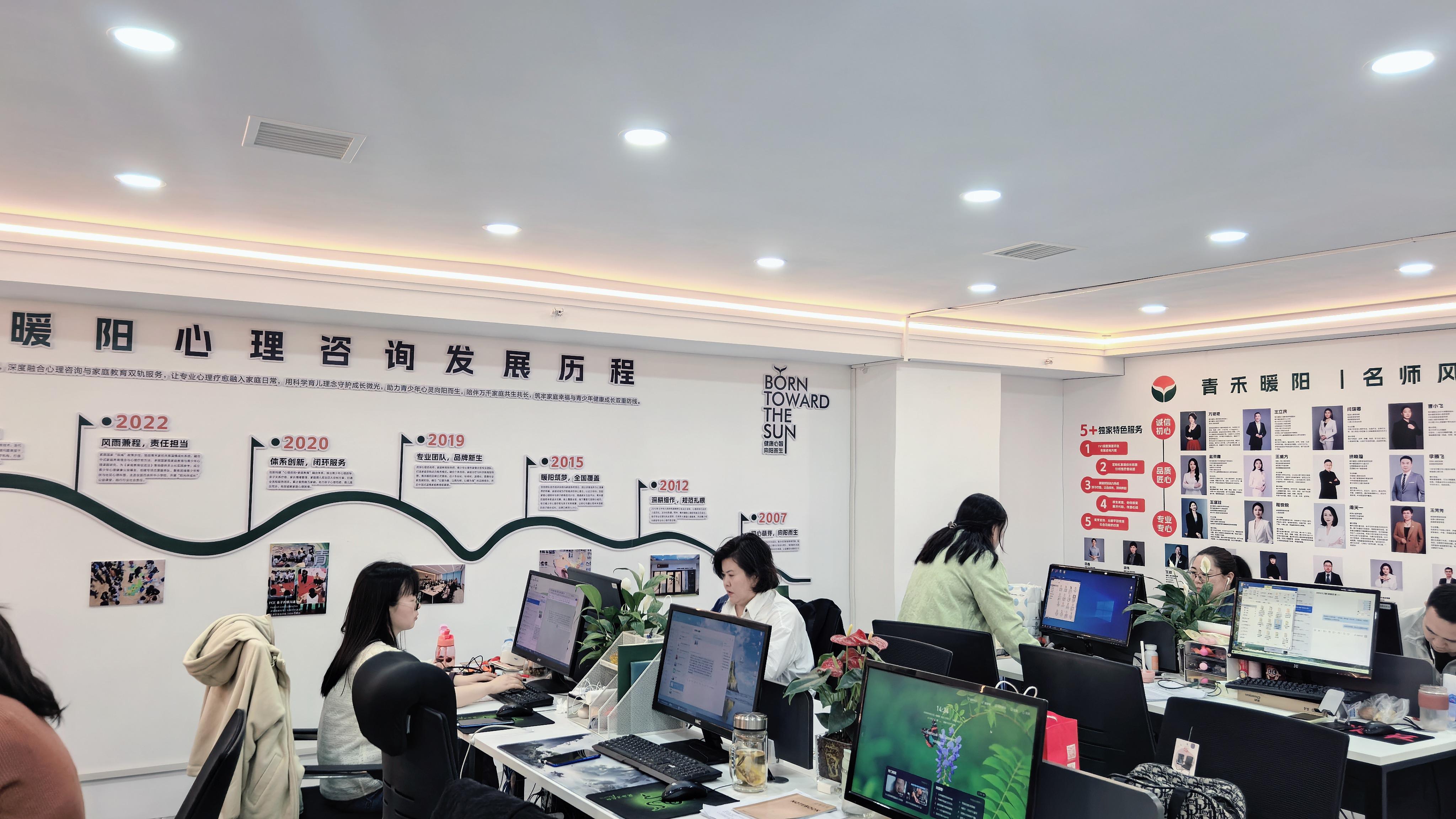 青禾暖阳心理咨询团队