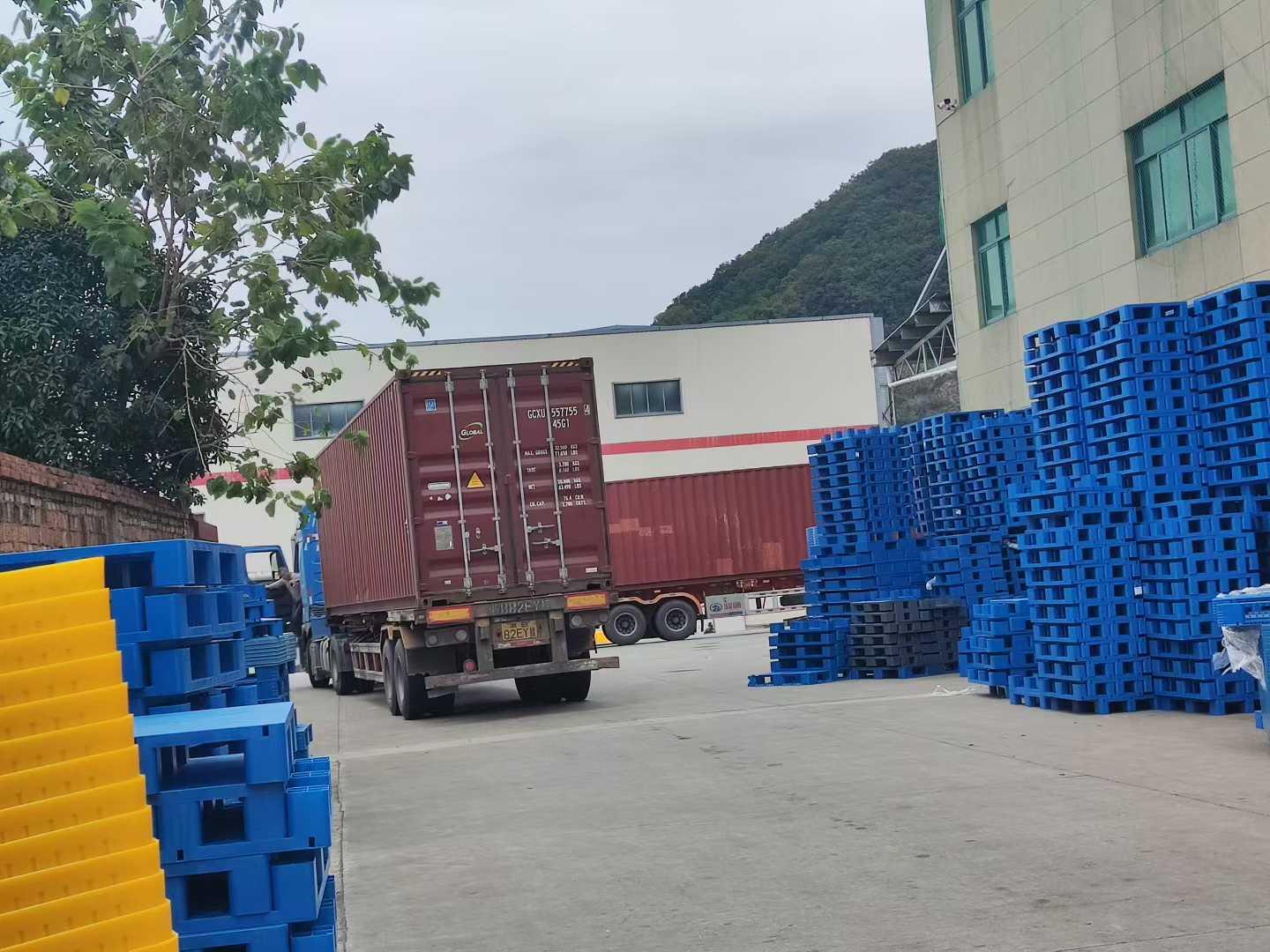 塑料纸箱制造厂