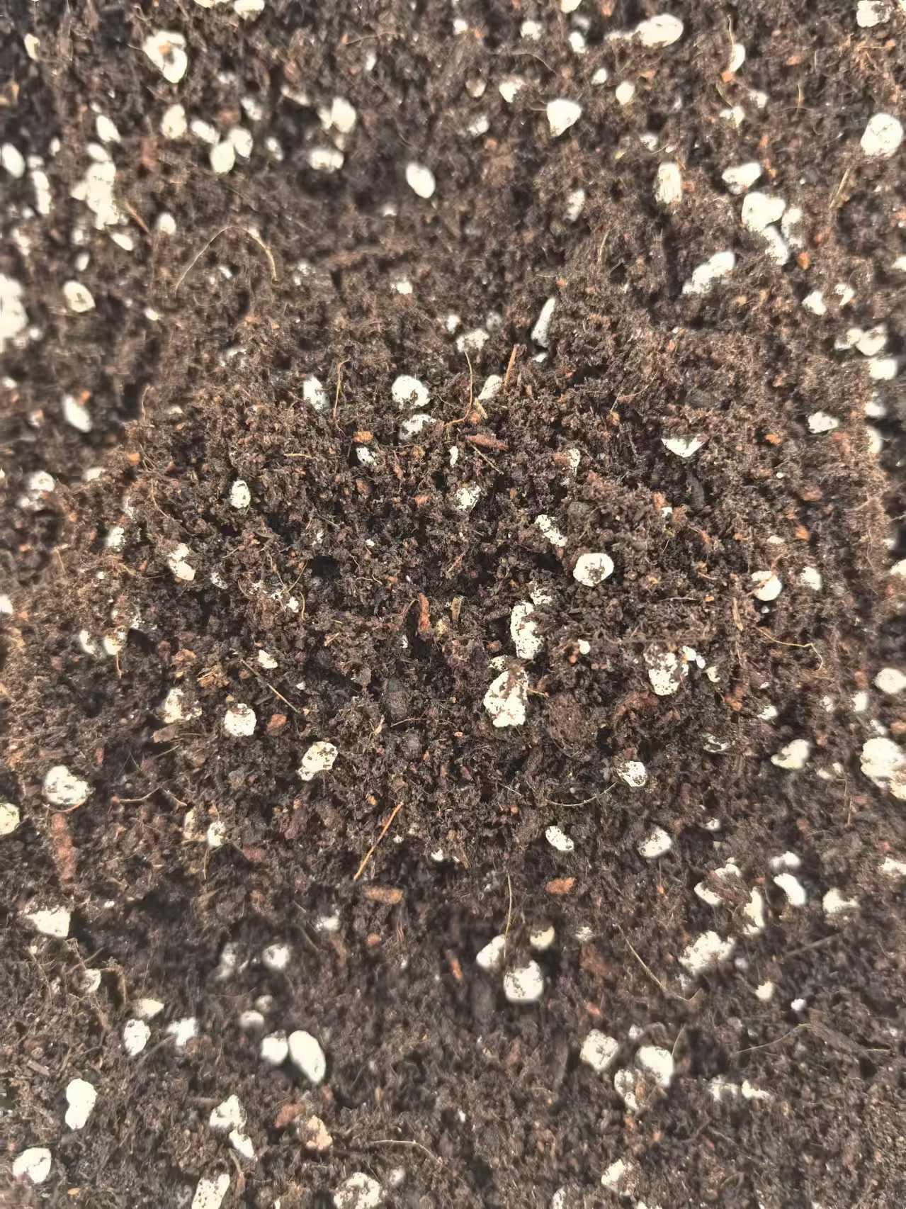 无菌草莓专用基质源头厂家