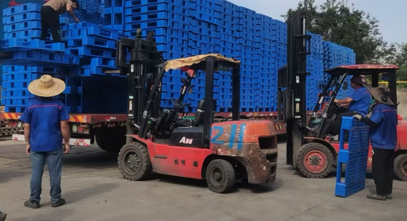 广州塑料卡板直销厂家