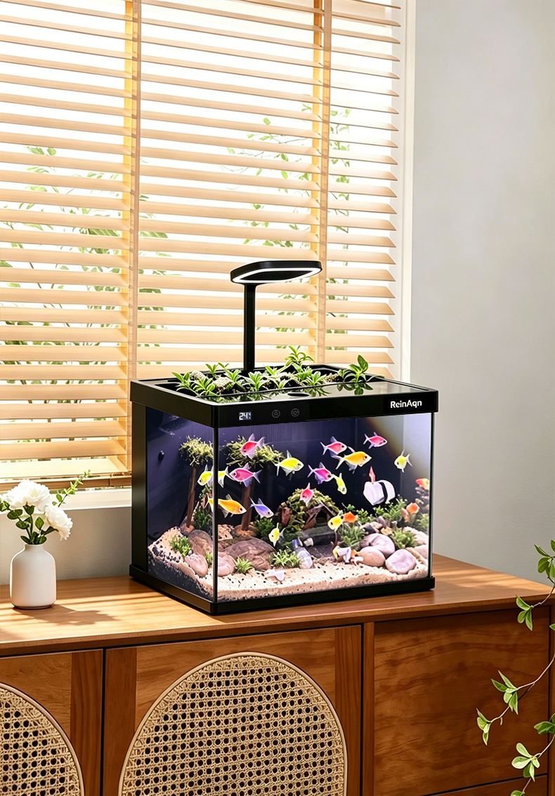 江阴九品宠物用品有限公司-产品图2