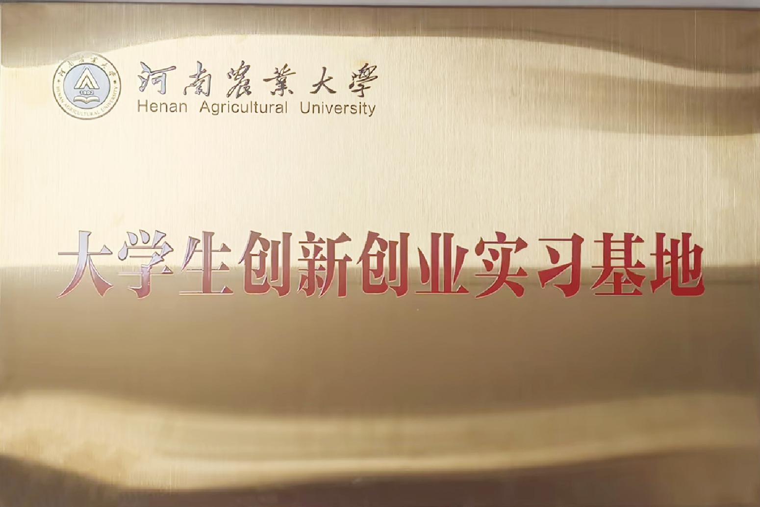 沙现人品牌形象