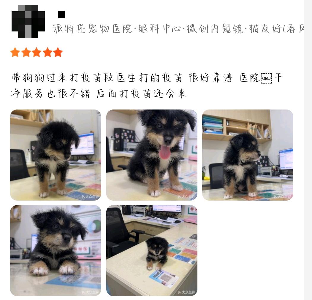 瑞派派特堡春风路分院