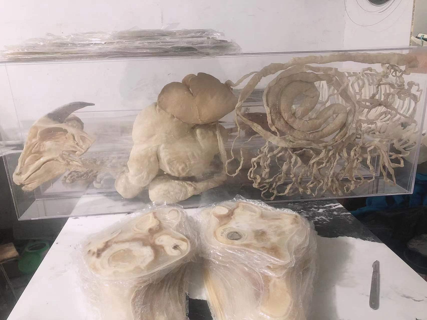 河南恒之奇实业有限公司