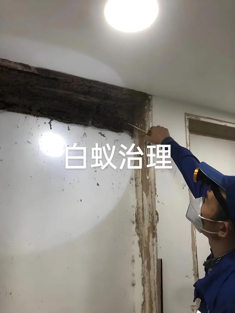 白蚁防治施工