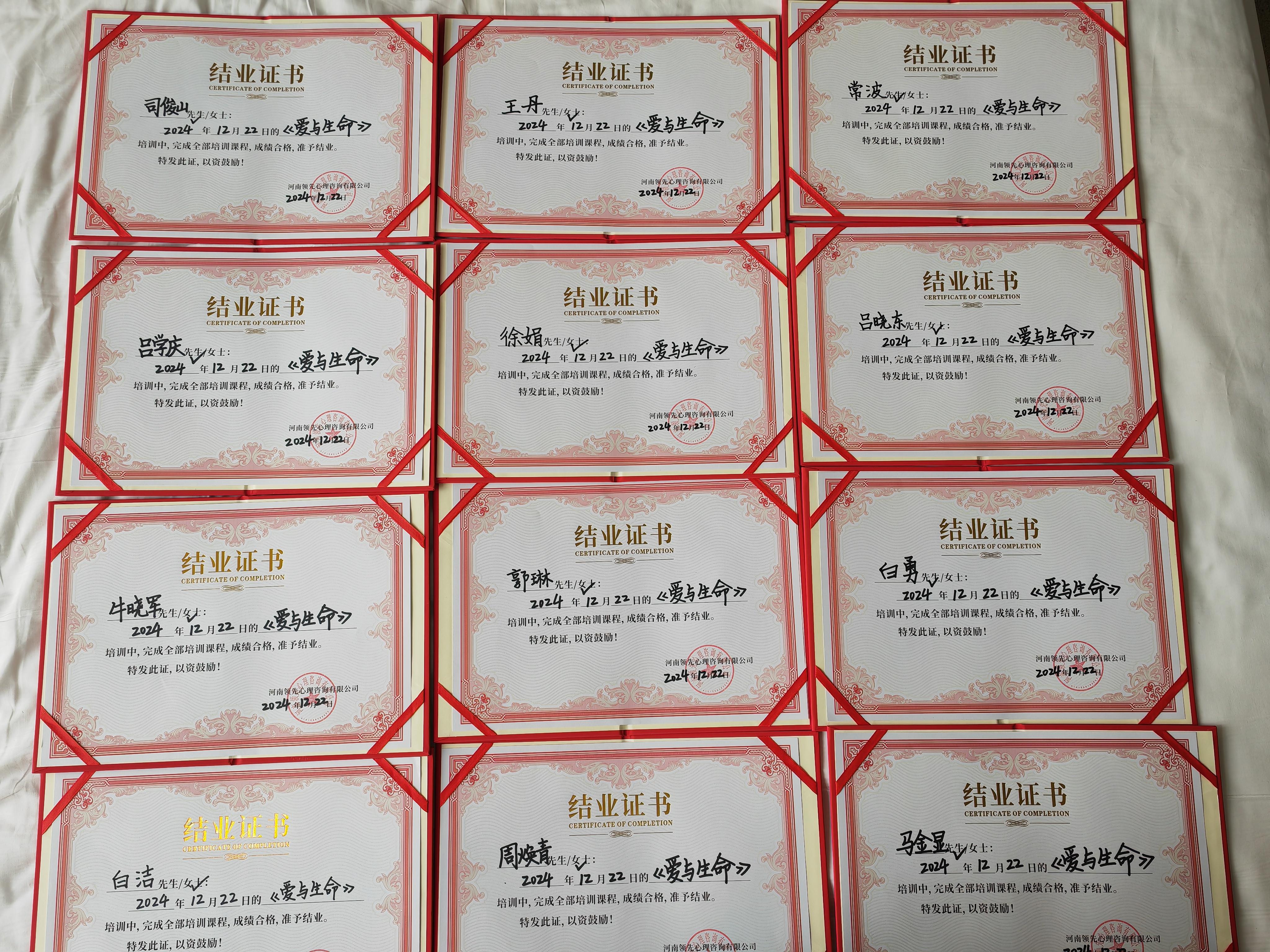 领先心理咨询服务案例