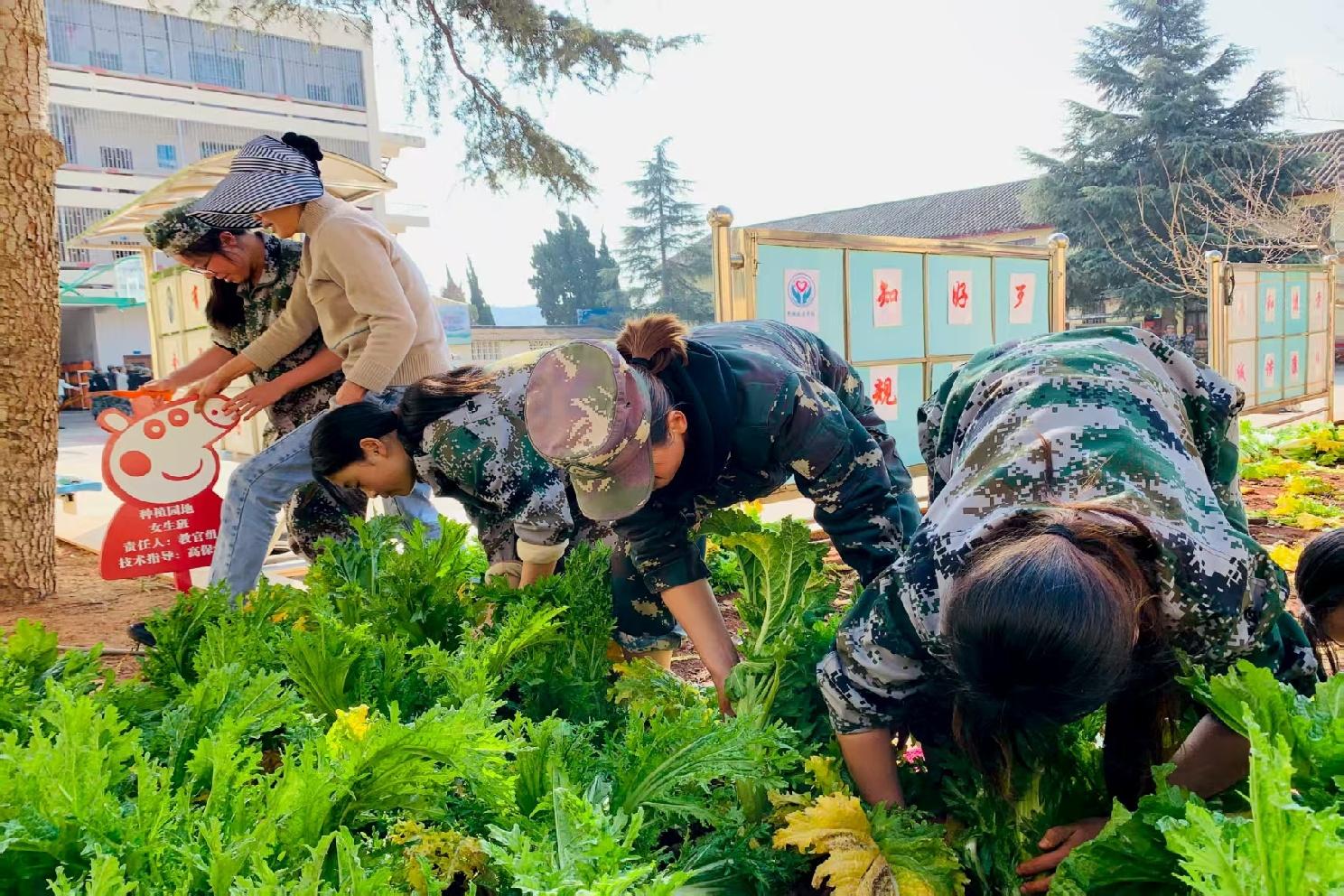 昆明青少年心理特训营