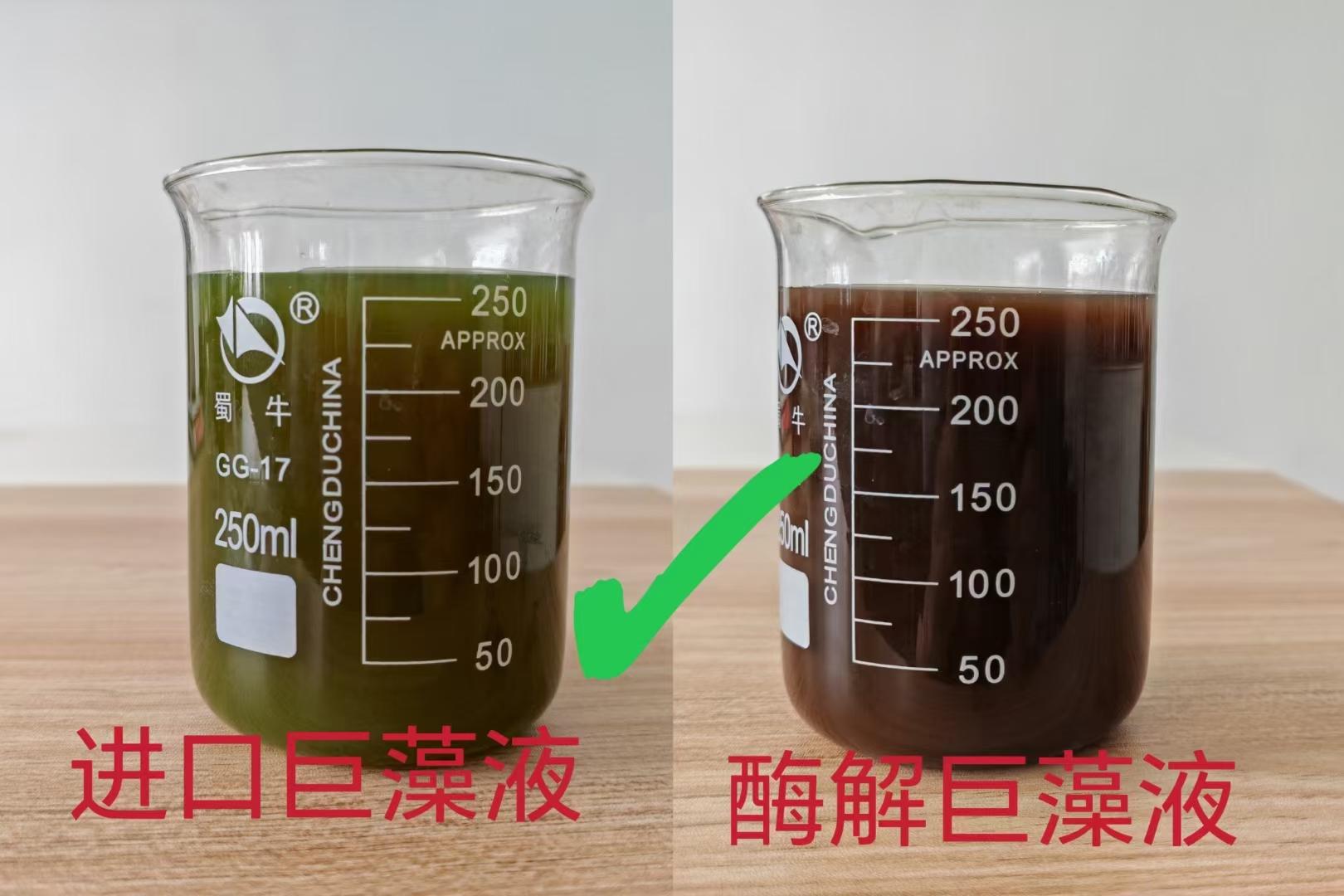 微生物菌种研发实验室