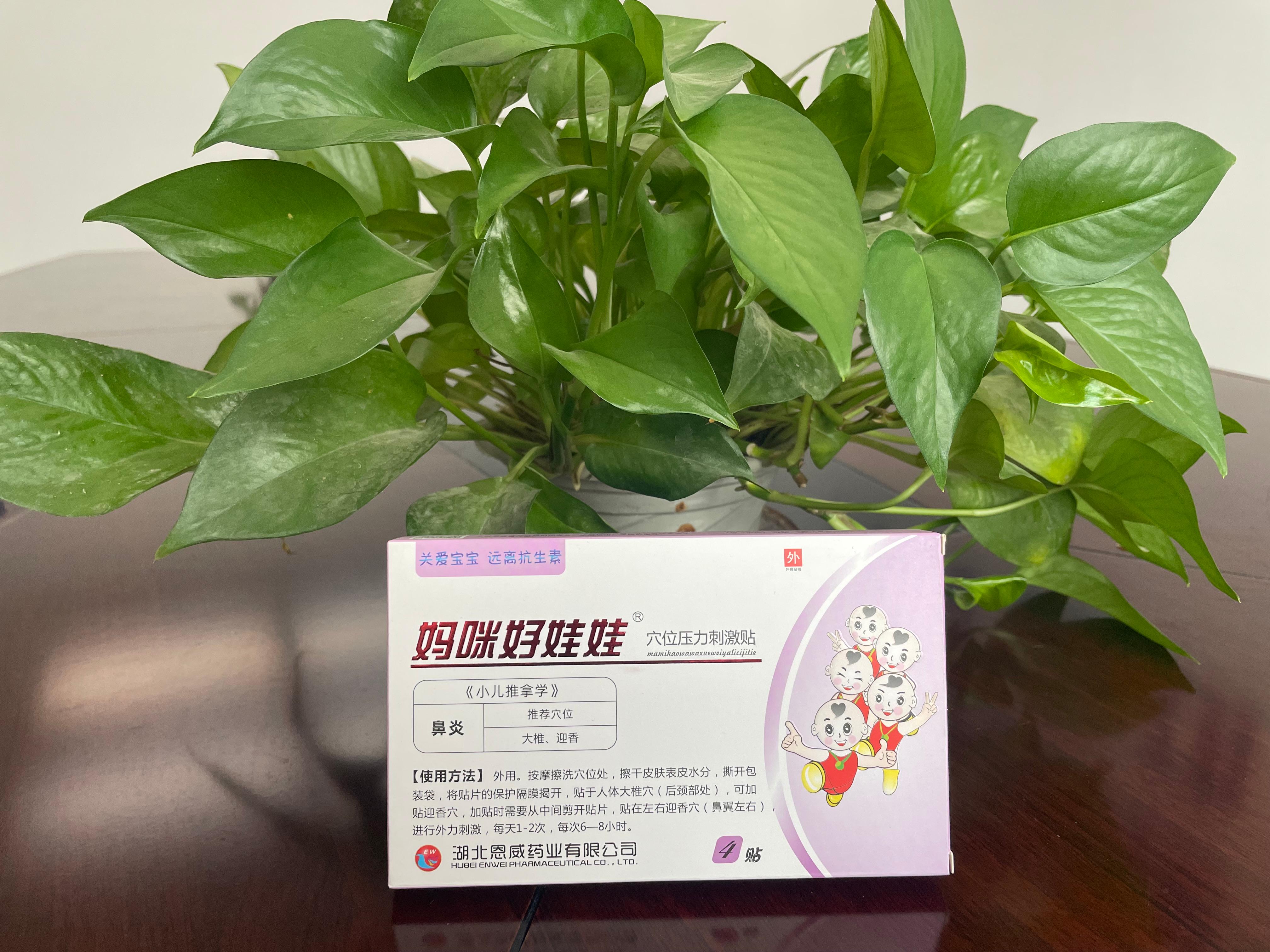 湖北恩威药业有限公司
