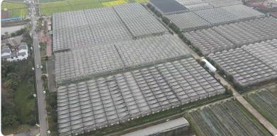 圣宝利温室结构展示