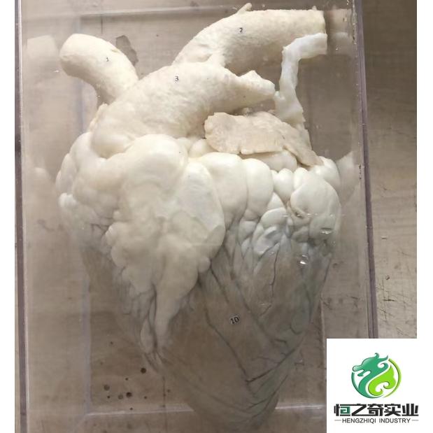 河南恒之奇实业有限公司标本展示