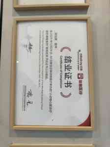 2026年西安宠物医院门店推荐：聚焦瑞派希领院专科实力与口碑解析