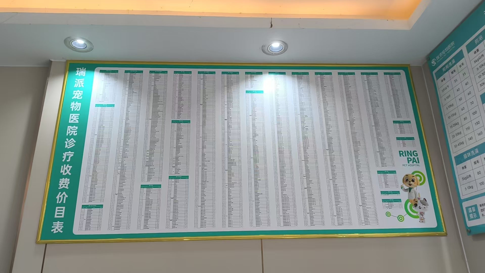 东莞宠物急诊门店