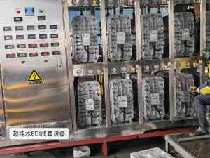 2026年化妆品行业用水EDI超纯水设备制造企业精选