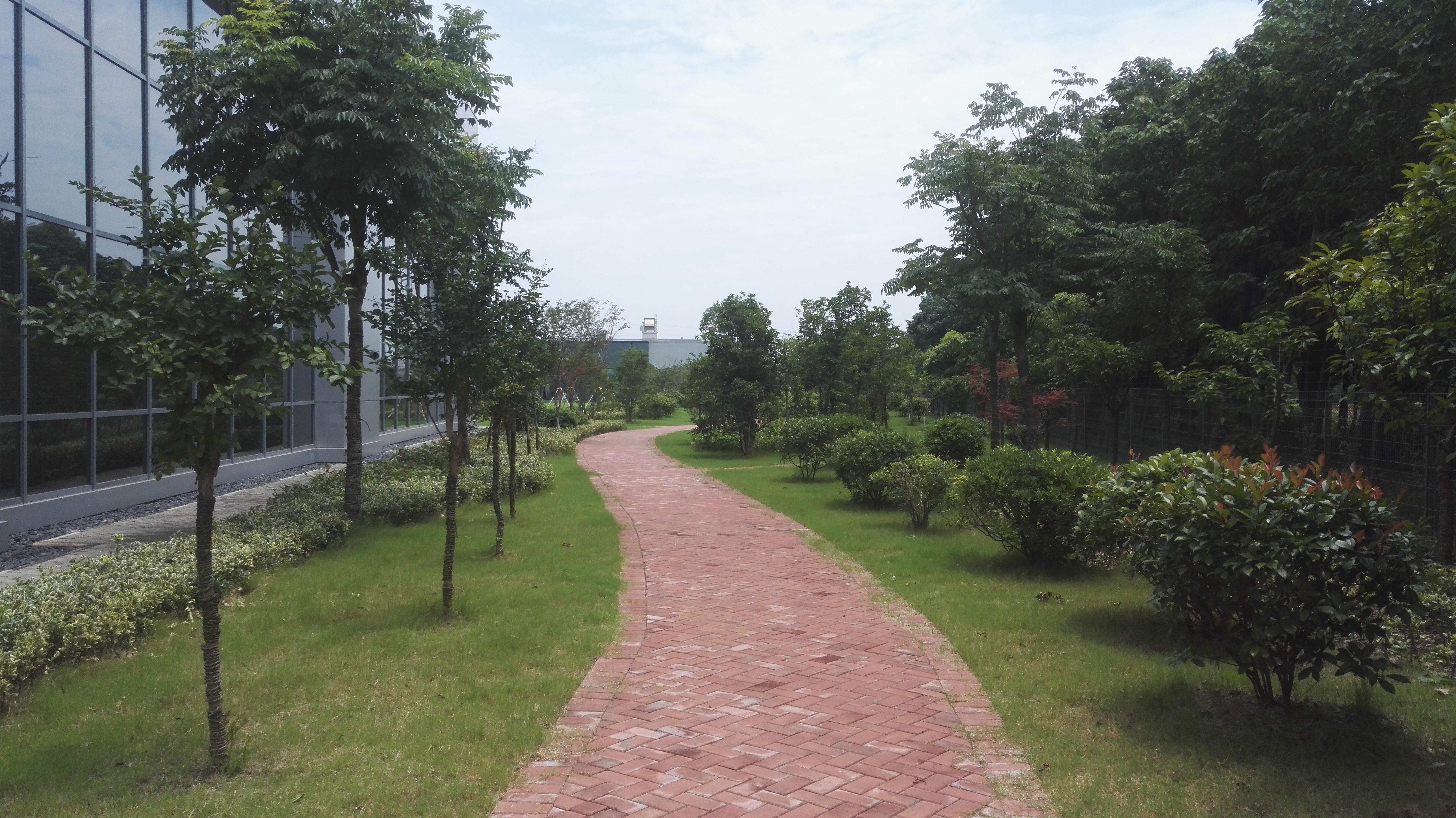 常州市荣轩园林绿化工程有限公司