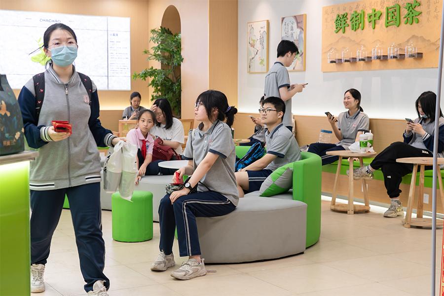 茶巢产品展示