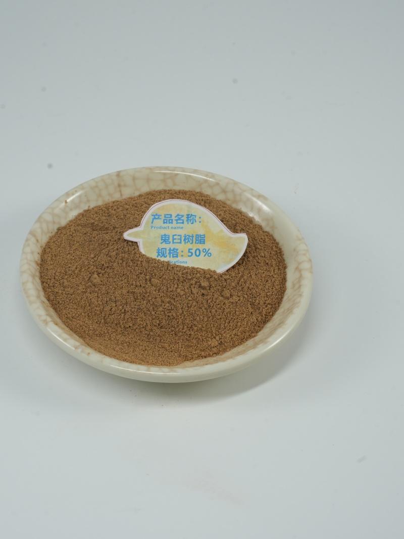 粉防己提取物加工厂