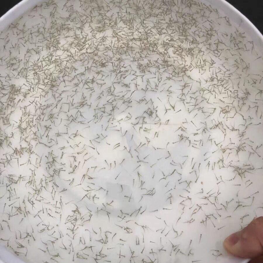 充氧打包发货现场