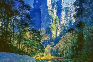 微观乐游团队